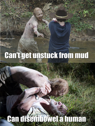 Illustration for article titled In the most biting Walking Dead memes, everybody hates Lori!
